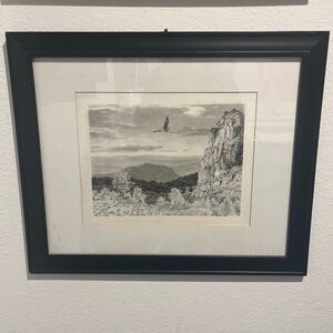 Original Pen Sketch Black Framed Landscape Eagle Art